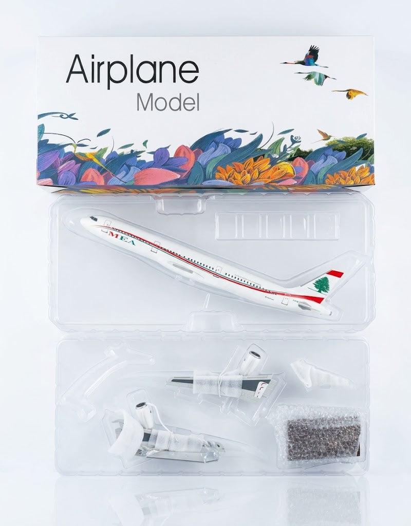 Collector gift box and secure molded packaging tray holding the MEA Airbus 1:100 scale resin fuselage, modular wings, and stand components.