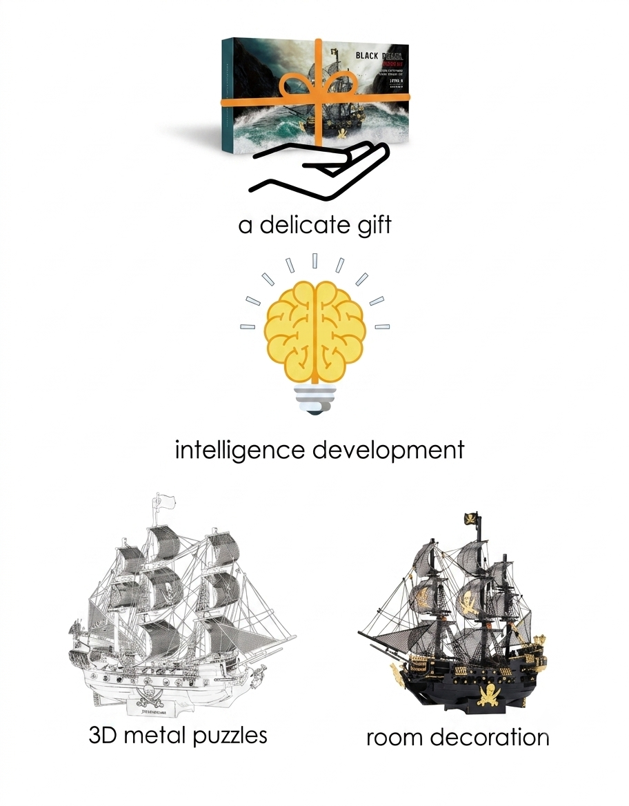 Black Pearl DIY metal puzzle gift packaging box highlighting intelligence development and room decoration features.